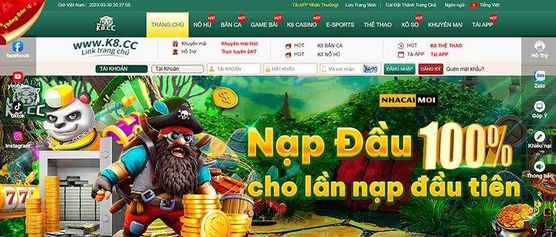 Tại sao bạn muốn tham gia một cuộc thi đá gà cấp độ Zalv? - Zalv