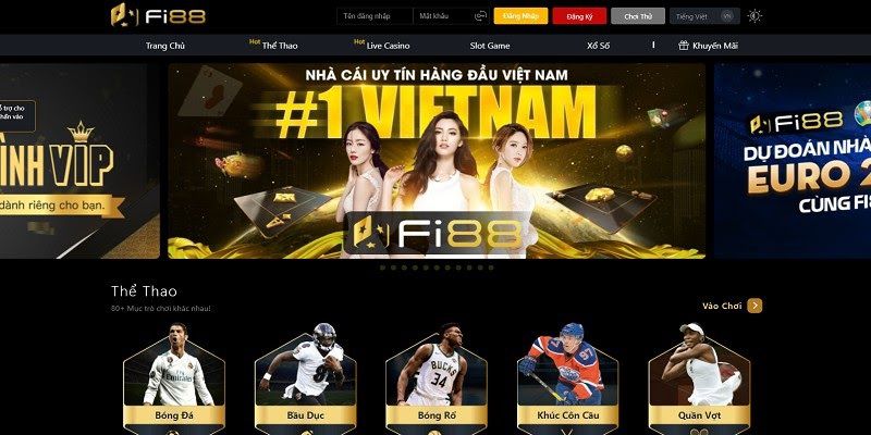 Câu hỏi thường gặp về Cổng thông tin trò chơi 79Win - 79Win