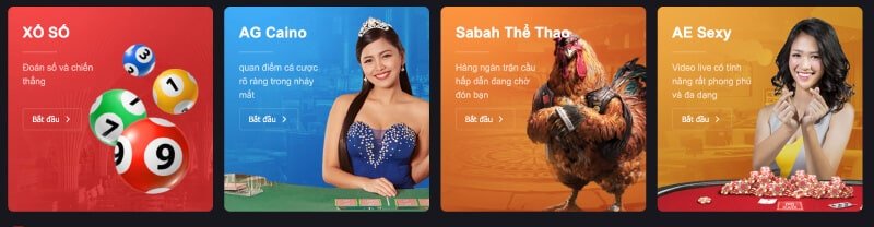Kiến thức cơ bản Zalv - Zalv