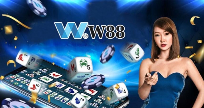 Trang web nền tảng trực tuyến hàng đầu và toàn diện C54 - C54