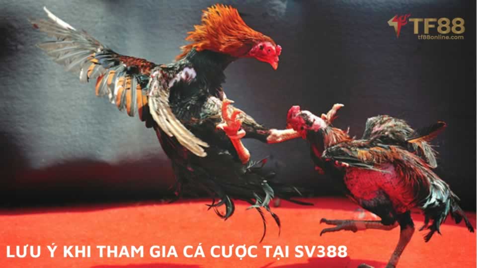 Đánh giá chi tiết và toàn diện nhất về trang web game cấp độ Fi88 - Fi88