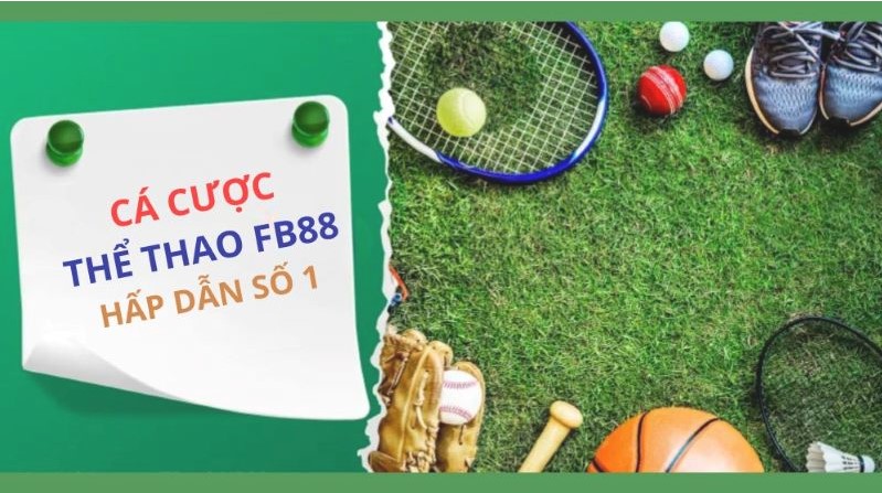 Link đăng nhập Helo88 chính thức mới nhất dành cho người chơi - Helo88