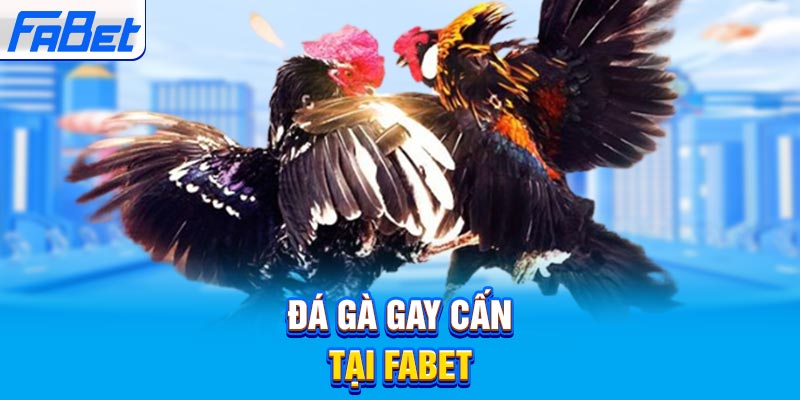 789Bet đẹp hơn, trẻ hơn và nhanh hơn - 789Bet
