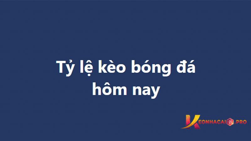 Chính sách Hay88 của đại lý nổi tiếng - Hay88
