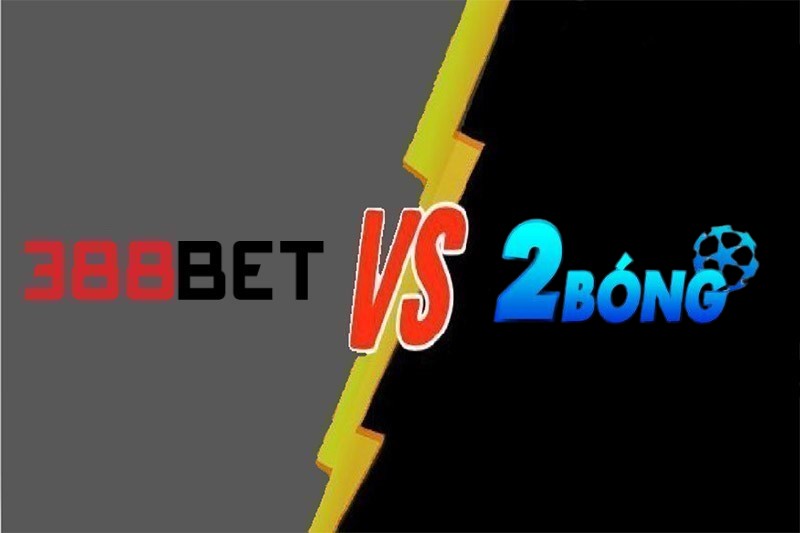 Cá cược hạng Z8bet bao gồm những gì? - Z8bet