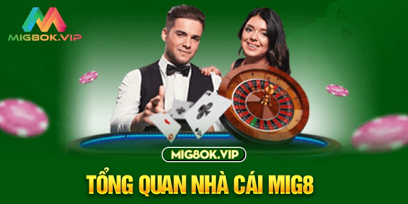 Làm thế nào để đăng nhập vào 88Uu, đăng ký và tham gia các cuộc thi đá gà trực tiếp trên SVV388? - 88Uu