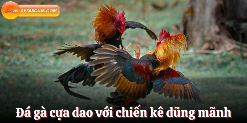 Một nền tảng trực tuyến hoàn chỉnh đạt chuẩn Nbet, bao gồm cả các trò chơi nhiều người chơi - Nbet