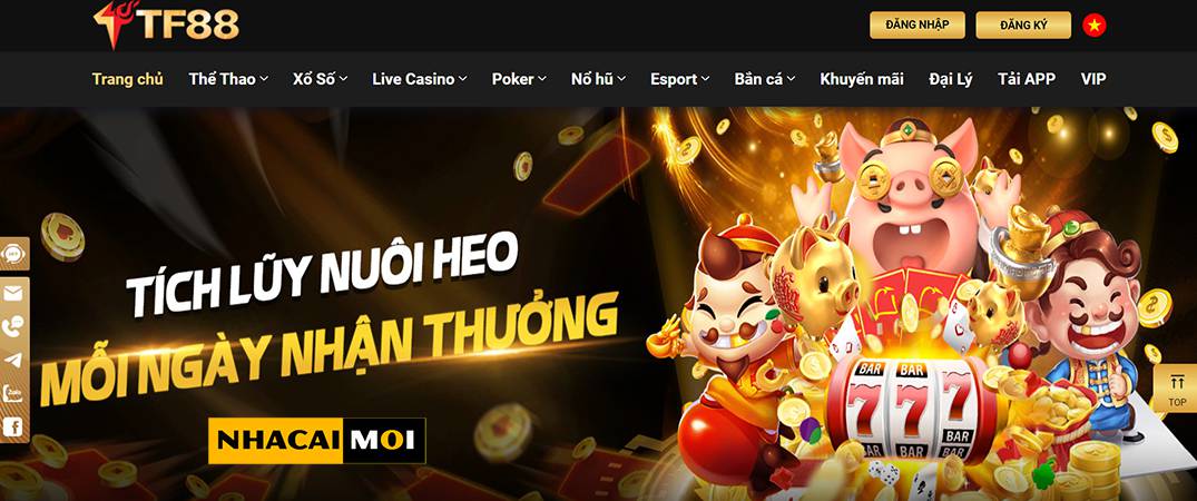 Kế hoạch bảo hiểm đại lý Df999 - Df999
